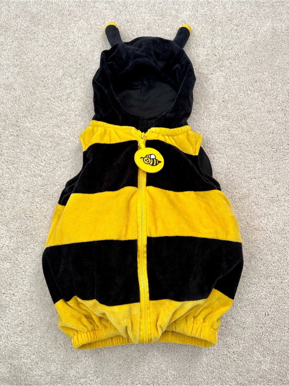 Halloween Bee Costume